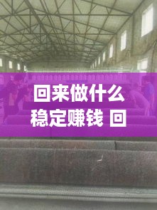 回来做什么稳定赚钱 回来做什么呢