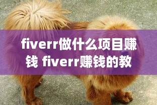 fiverr做什么项目赚钱 fiverr赚钱的教程