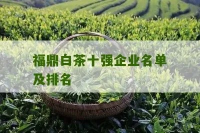 福鼎白茶品牌排行榜 福鼎白茶品牌排行榜前50名