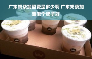 广东奶茶加盟费是多少啊 广东奶茶加盟哪个牌子好