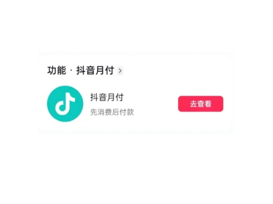 抖音月付怎么套出来（了解抖音月付的套取方法）