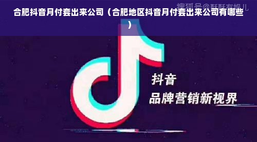 合肥抖音月付套出来公司（合肥地区抖音月付套出来公司有哪些）