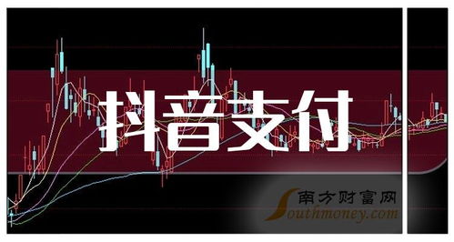 合肥抖音月付套出来公司（合肥地区抖音月付套出来公司有哪些）