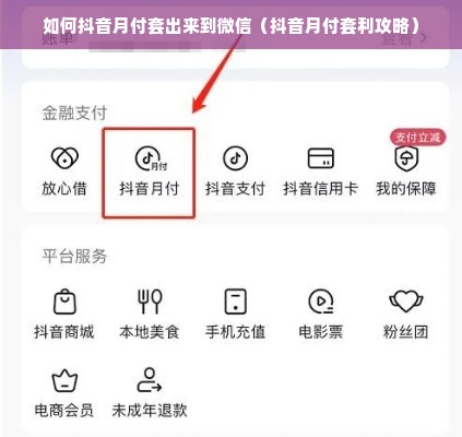 如何抖音月付套出来到微信（抖音月付套利攻略）