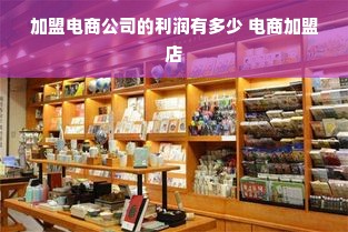 加盟电商公司的利润有多少 电商加盟店