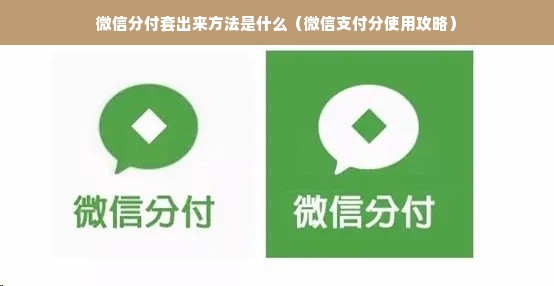 微信分付套出来方法是什么（微信支付分使用攻略）