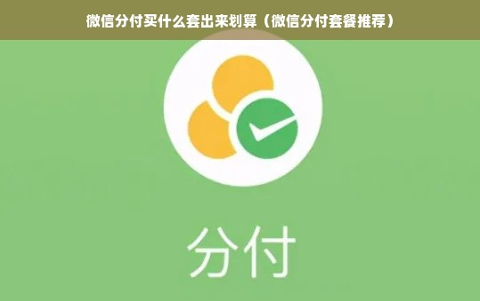 微信分付买什么套出来划算（微信分付套餐推荐）