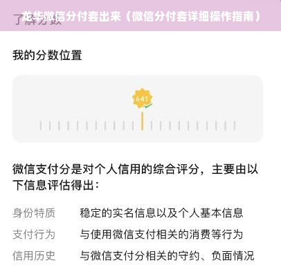 龙华微信分付套出来（微信分付套详细操作指南）