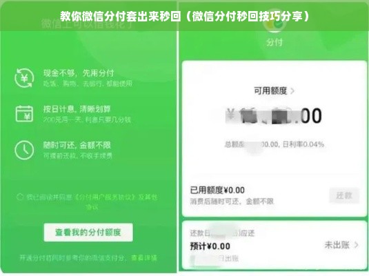 教你微信分付套出来秒回（微信分付秒回技巧分享）