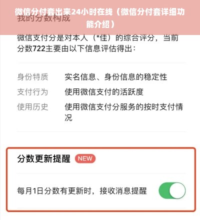 微信分付套出来24小时在线（微信分付套详细功能介绍）