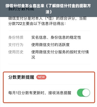 微信分付金怎么套出来（了解微信分付金的提取方法）