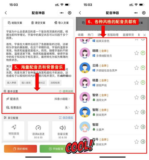 微信分付套出来10个点是多少（微信分付套分成比例解析）