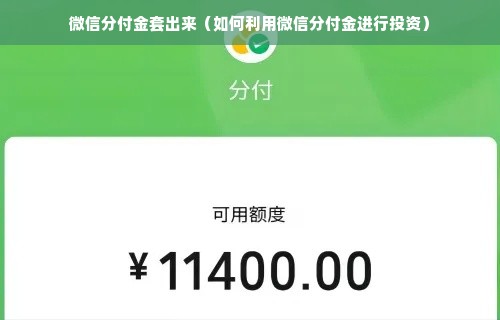 微信分付金套出来（如何利用微信分付金进行投资）