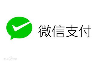 微信分付小额套出来秒回是真的吗（探讨微信分付的安全性）