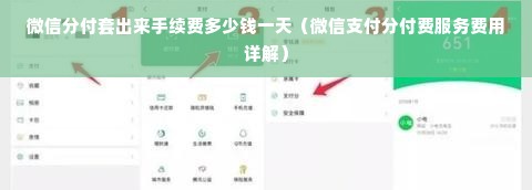 微信分付套出来手续费多少钱一天（微信支付分付费服务费用详解）