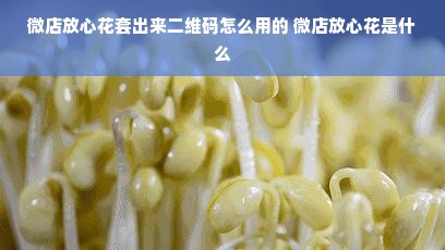 微店放心花套出来二维码怎么用的 微店放心花是什么