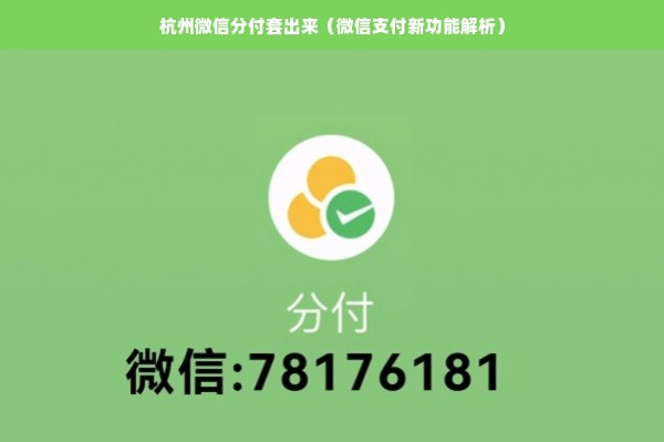 杭州微信分付套出来（微信支付新功能解析）