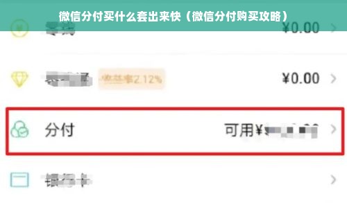 微信分付买什么套出来快（微信分付购买攻略）
