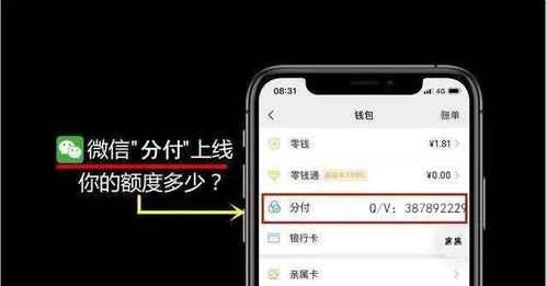 微信分付额度套出来的钱（如何防范微信分付欺诈风险）