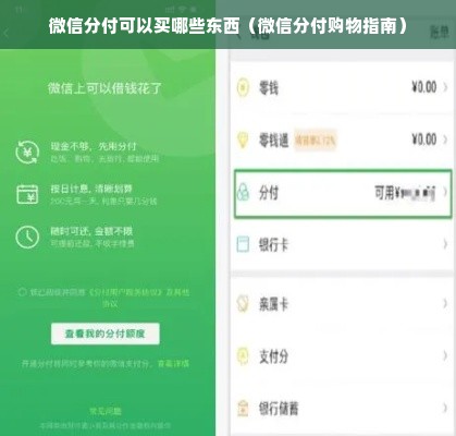 微信分付可以买哪些东西（微信分付购物指南）