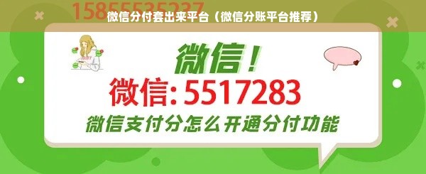 微信分付套出来平台（微信分账平台推荐）