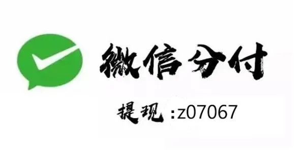 微信分付可以自己两个账号套出来么（详解微信支付的账号绑定与使用方法）