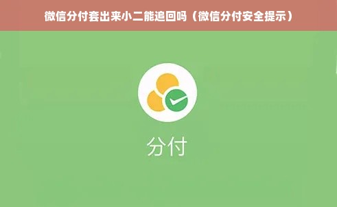 微信分付套出来小二能追回吗（微信分付安全提示）