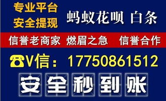 微信分付24小时套出来多少钱（了解微信分付24小时套现的方式及金额）