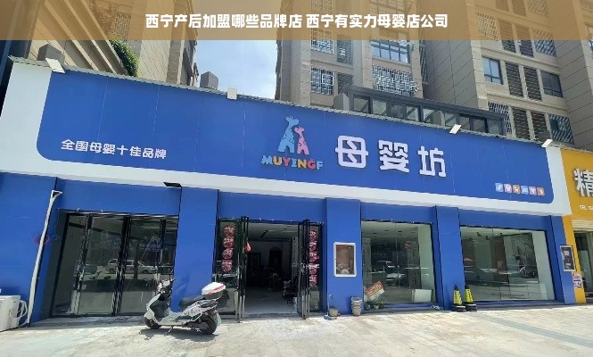 西宁产后加盟哪些品牌店 西宁有实力母婴店公司