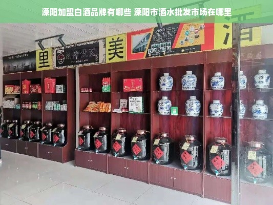 溧阳加盟白酒品牌有哪些 溧阳市酒水批发市场在哪里