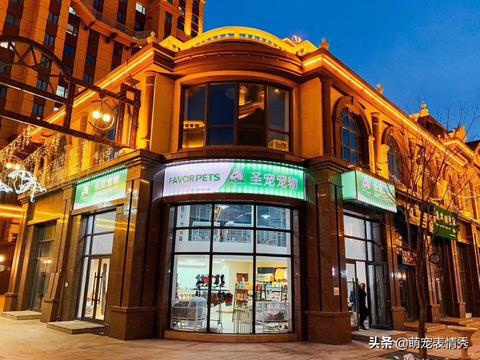 天津加盟宠物店盈利多少 天津加盟宠物店盈利多少钱