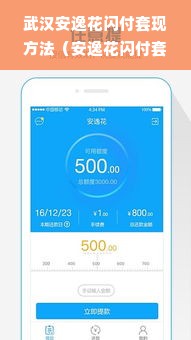 武汉安逸花闪付套现方法（安逸花闪付套现技巧）
