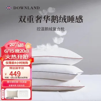 羽绒枕头排行榜品牌有哪些