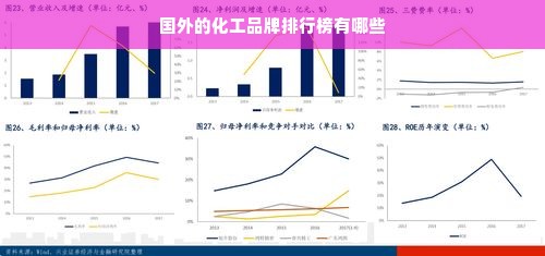 国外的化工品牌排行榜有哪些