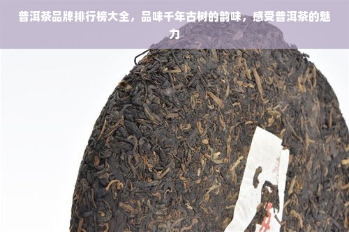 普洱茶品牌排行榜大全，品味千年古树的韵味，感受普洱茶的魅力