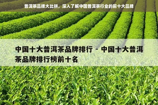 普洱茶品牌大比拼，深入了解中国普洱茶行业的前十大品牌