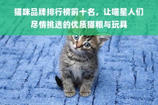 猫咪品牌排行榜前十名，让喵星人们尽情挑选的优质猫粮与玩具