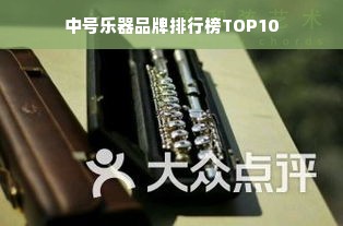 中号乐器品牌排行榜TOP10