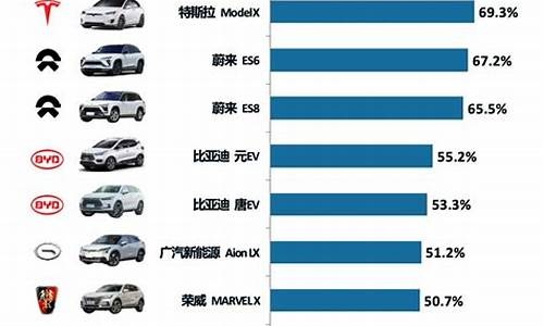 新能源优势品牌排行榜TOP10