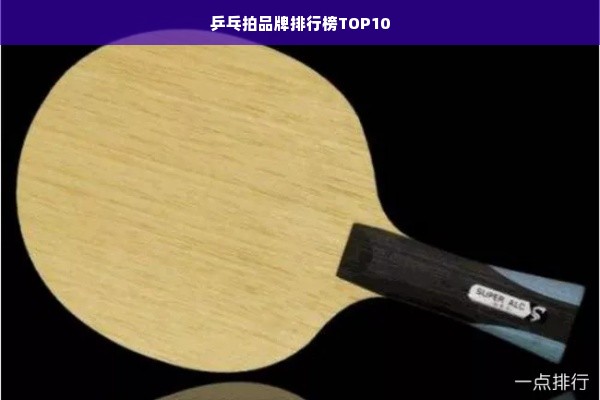 乒乓拍品牌排行榜TOP10