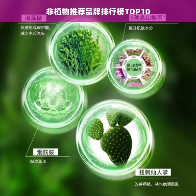 非植物推荐品牌排行榜TOP10