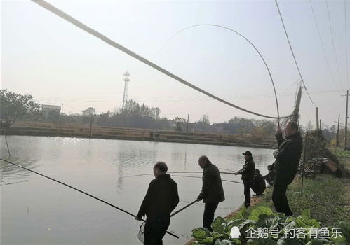 在钓鱼这项活动中，选择一款好的鱼竿是至关重要的。好的鱼竿不仅可以提高钓鱼的成功率，还可以让钓鱼变得更加轻松和愉快。因此，了解好的鱼竿品牌排行榜，对于钓鱼爱好者来说，是非常有必要的。