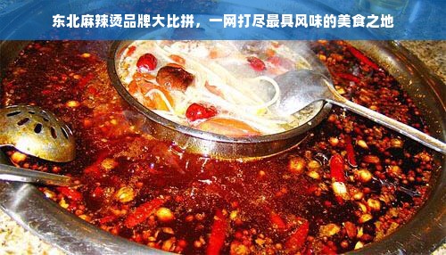 东北麻辣烫品牌大比拼，一网打尽最具风味的美食之地