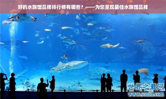 好的水族馆品牌排行榜有哪些？——为您呈现最佳水族馆品牌