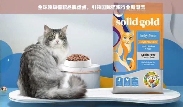 全球顶级猫粮品牌盘点，引领国际猫粮行业新潮流