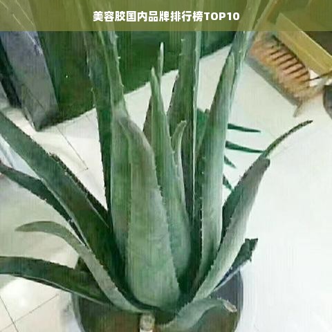 美容胶国内品牌排行榜TOP10