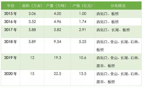 全面解析，中国二线农药品牌排行榜，行业领导者的崭新篇章