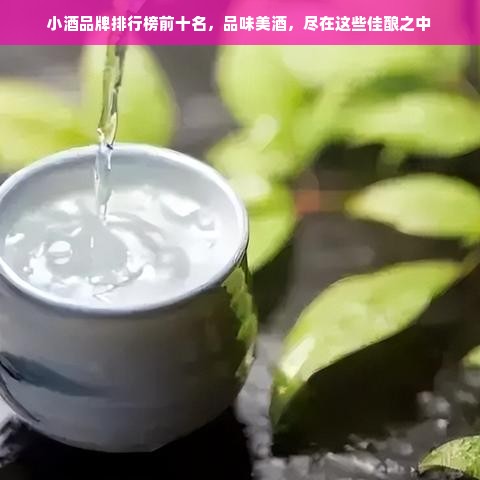 小酒品牌排行榜前十名，品味美酒，尽在这些佳酿之中