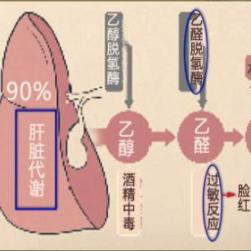 行业深度解析醒酒饮料十大品牌排行榜一览