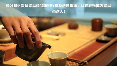 茶叶知识普及普洱茶品牌排行榜及选购指南，让你轻松成为普洱茶达人！